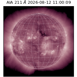 saia - 2026-08-12T11:00:09.624000