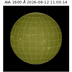 saia - 2026-08-12T11:00:14.131000