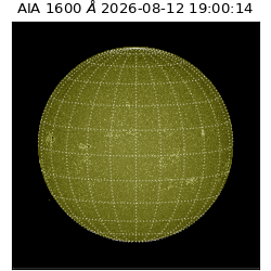 saia - 2026-08-12T19:00:14.123000