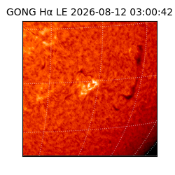 gong - 2026-08-12T03:00:42