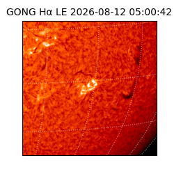gong - 2026-08-12T05:00:42