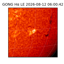 gong - 2026-08-12T06:00:42