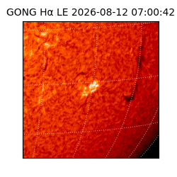 gong - 2026-08-12T07:00:42