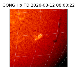 gong - 2026-08-12T08:00:22