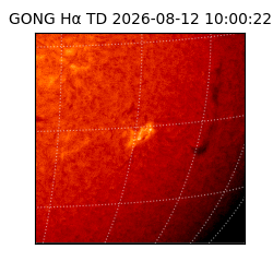 gong - 2026-08-12T10:00:22