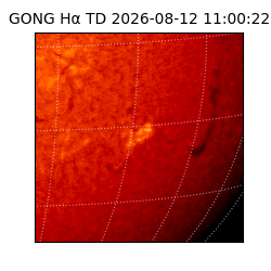 gong - 2026-08-12T11:00:22