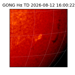 gong - 2026-08-12T16:00:22