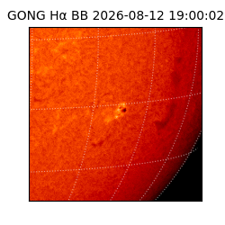 gong - 2026-08-12T19:00:02