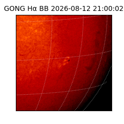 gong - 2026-08-12T21:00:02