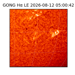 gong - 2026-08-12T05:00:42
