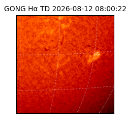 gong - 2026-08-12T08:00:22