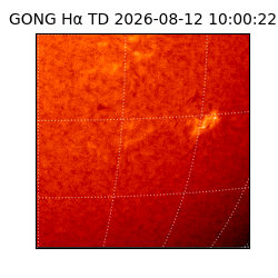 gong - 2026-08-12T10:00:22