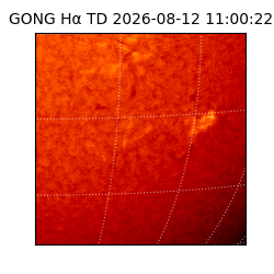 gong - 2026-08-12T11:00:22