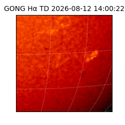 gong - 2026-08-12T14:00:22