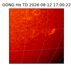 gong - 2026-08-12T17:00:22