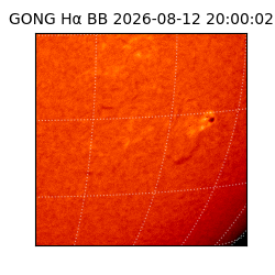 gong - 2026-08-12T20:00:02