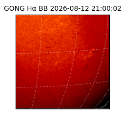 gong - 2026-08-12T21:00:02
