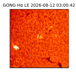gong - 2026-08-12T03:00:42