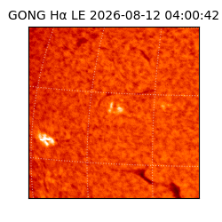 gong - 2026-08-12T04:00:42
