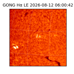 gong - 2026-08-12T06:00:42