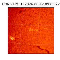 gong - 2026-08-12T09:05:22