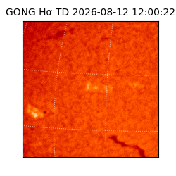gong - 2026-08-12T12:00:22
