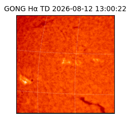 gong - 2026-08-12T13:00:22
