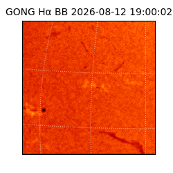 gong - 2026-08-12T19:00:02