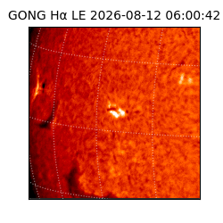 gong - 2026-08-12T06:00:42