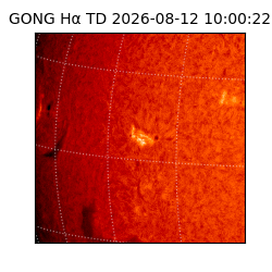 gong - 2026-08-12T10:00:22