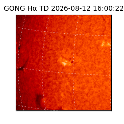 gong - 2026-08-12T16:00:22