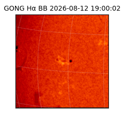 gong - 2026-08-12T19:00:02