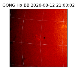 gong - 2026-08-12T21:00:02
