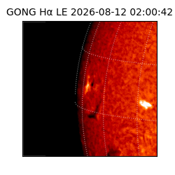 gong - 2026-08-12T02:00:42