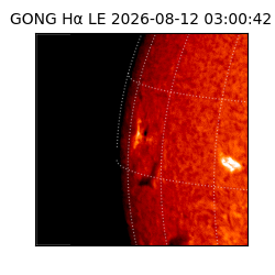 gong - 2026-08-12T03:00:42