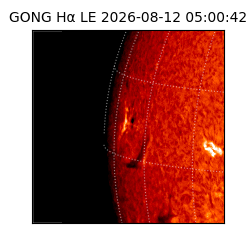 gong - 2026-08-12T05:00:42