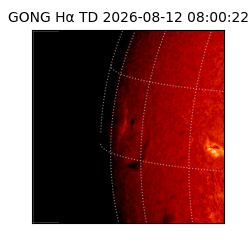 gong - 2026-08-12T08:00:22