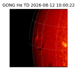 gong - 2026-08-12T10:00:22