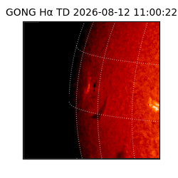 gong - 2026-08-12T11:00:22