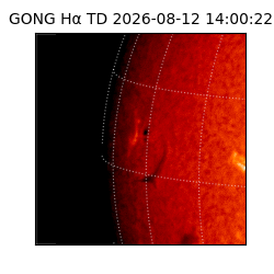 gong - 2026-08-12T14:00:22