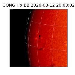gong - 2026-08-12T20:00:02