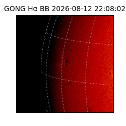 gong - 2026-08-12T22:08:02