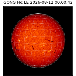 gong - 2026-08-12T00:00:42