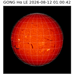 gong - 2026-08-12T01:00:42