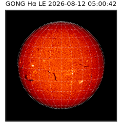 gong - 2026-08-12T05:00:42