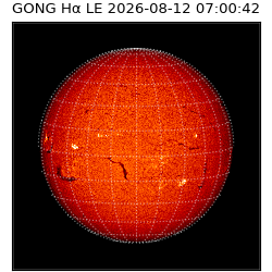 gong - 2026-08-12T07:00:42