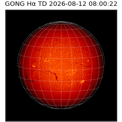 gong - 2026-08-12T08:00:22