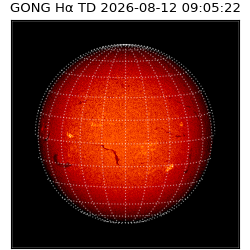 gong - 2026-08-12T09:05:22