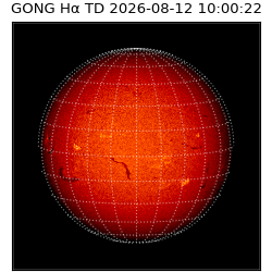 gong - 2026-08-12T10:00:22
