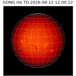 gong - 2026-08-12T12:00:22